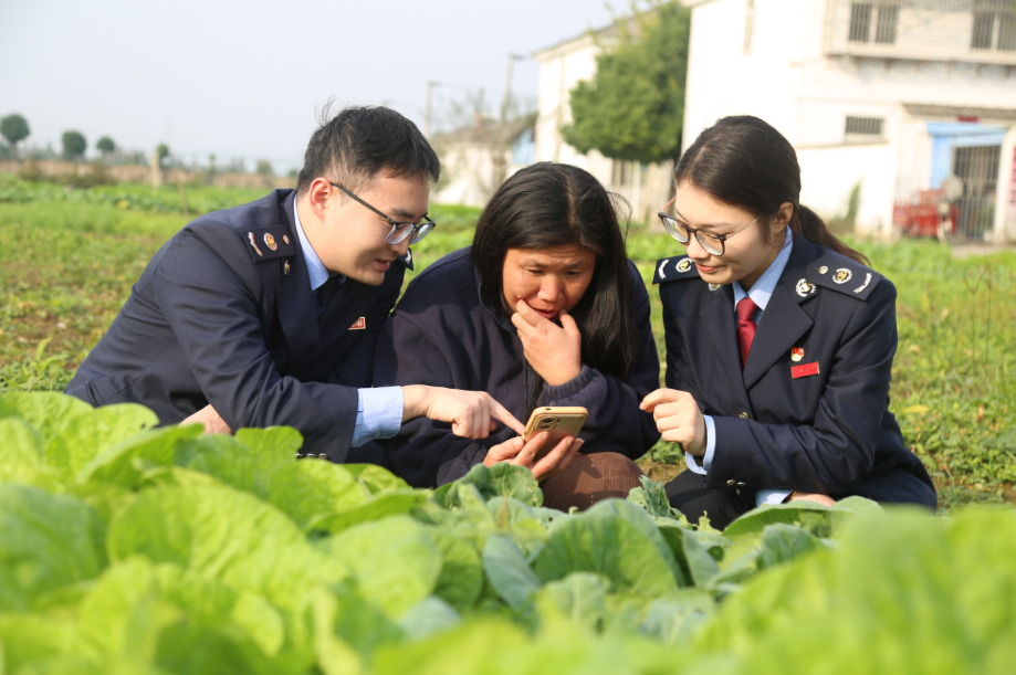 1761557349619045210.jpg 3.png