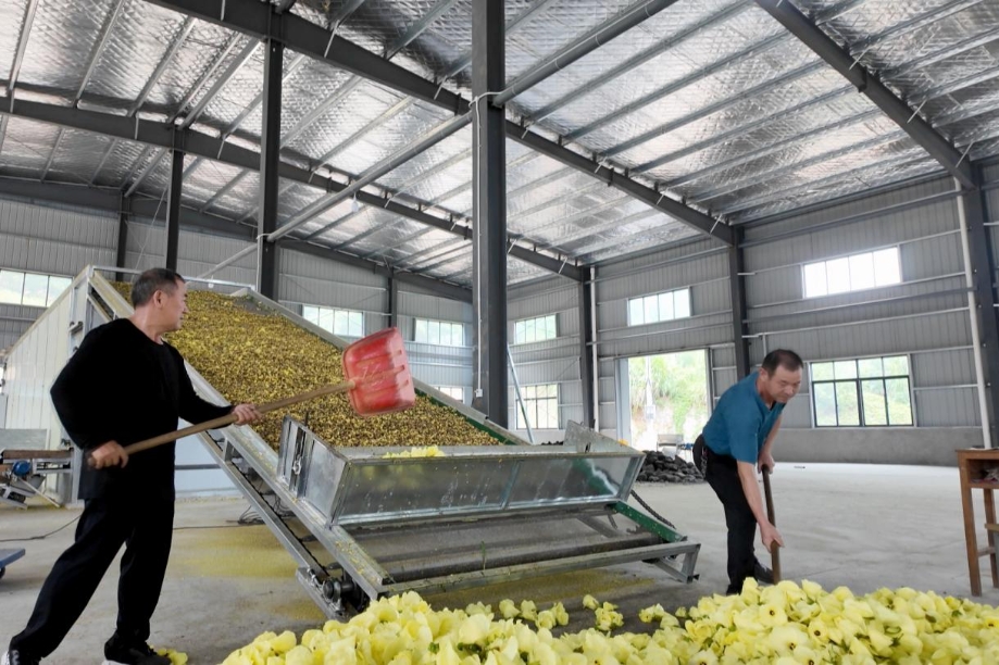 图片1.png 图片1.png